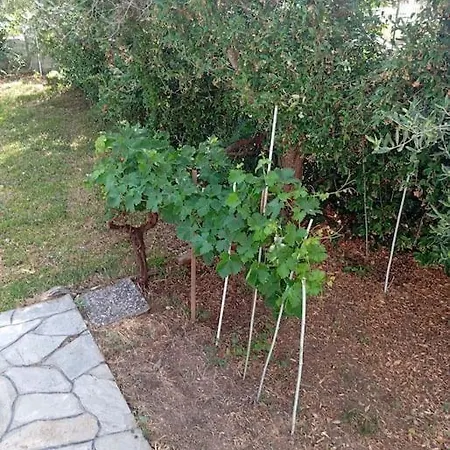 ホテル κοντά στη θάλασσα